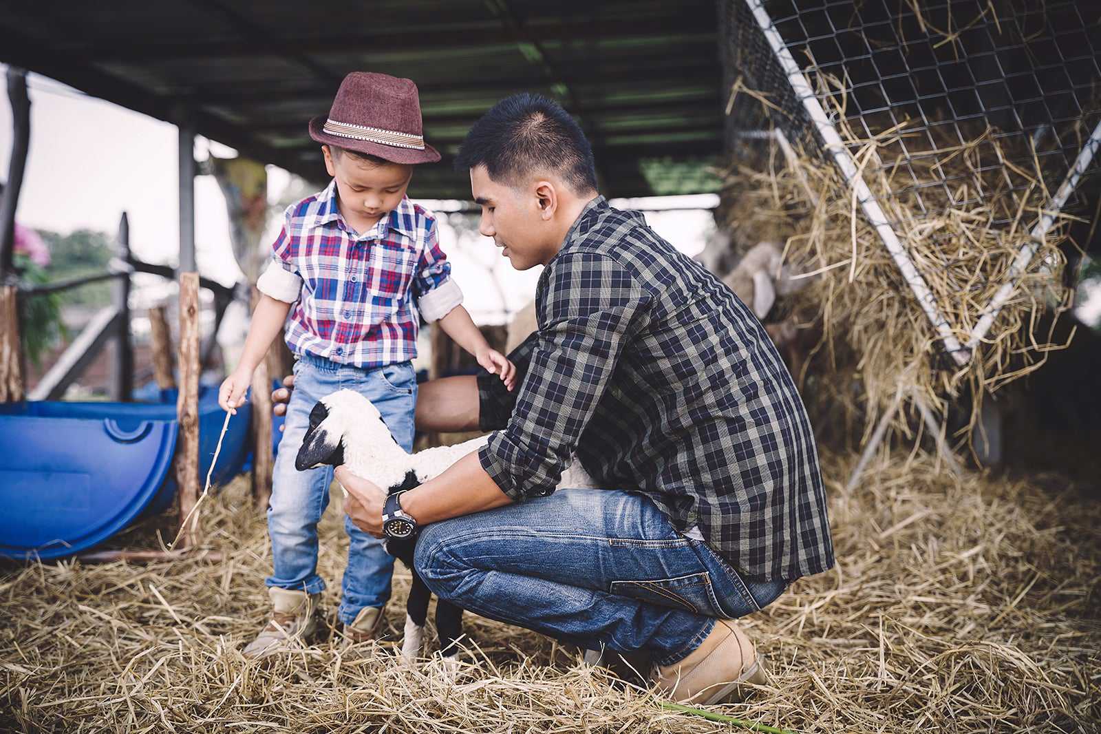 Roves Farm