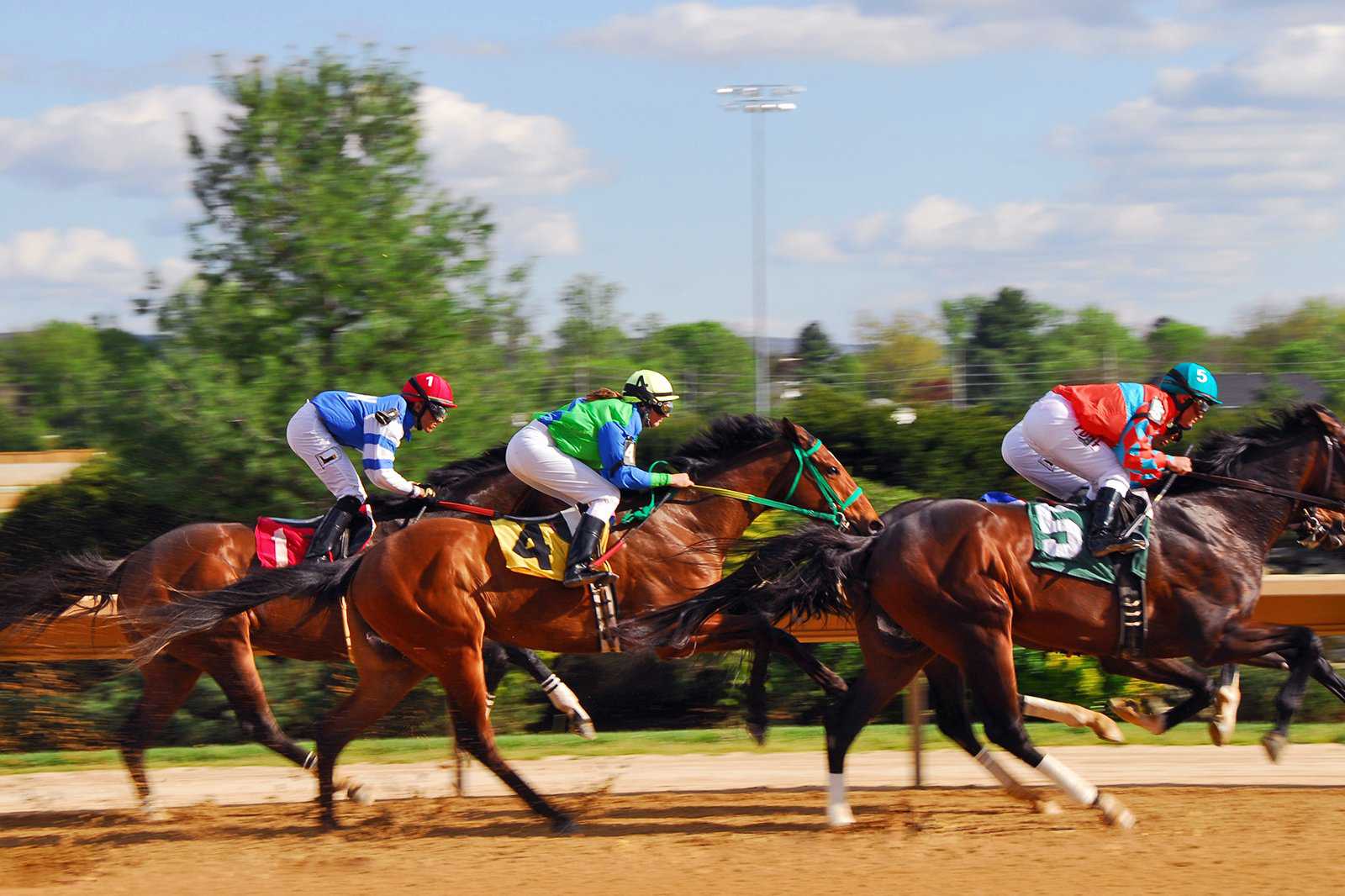 Springtime at the races