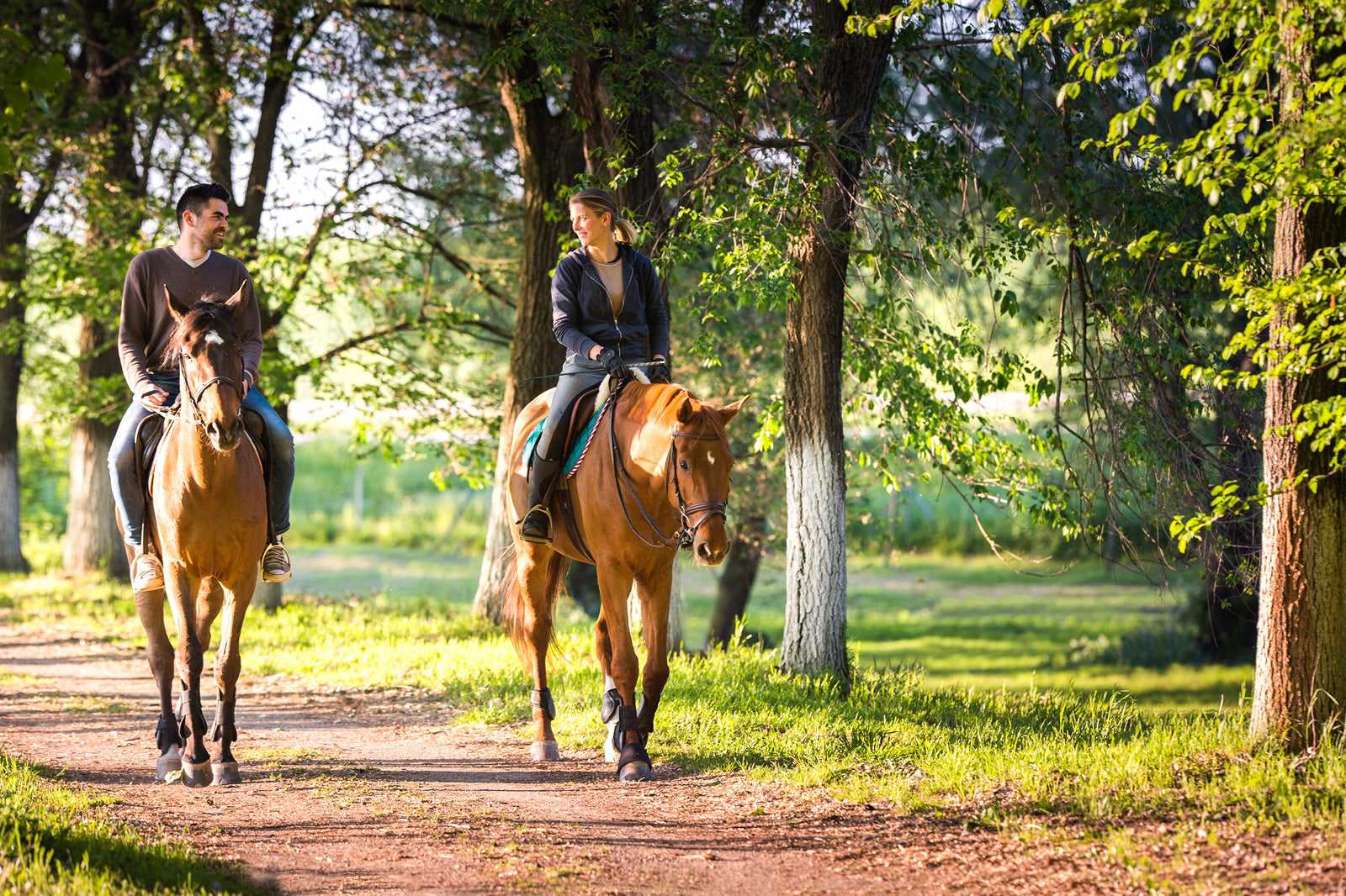 Enjoy a horse-riding tour