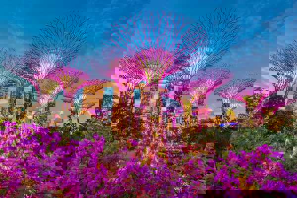 9 Best Romantic Things to Do in Singapore