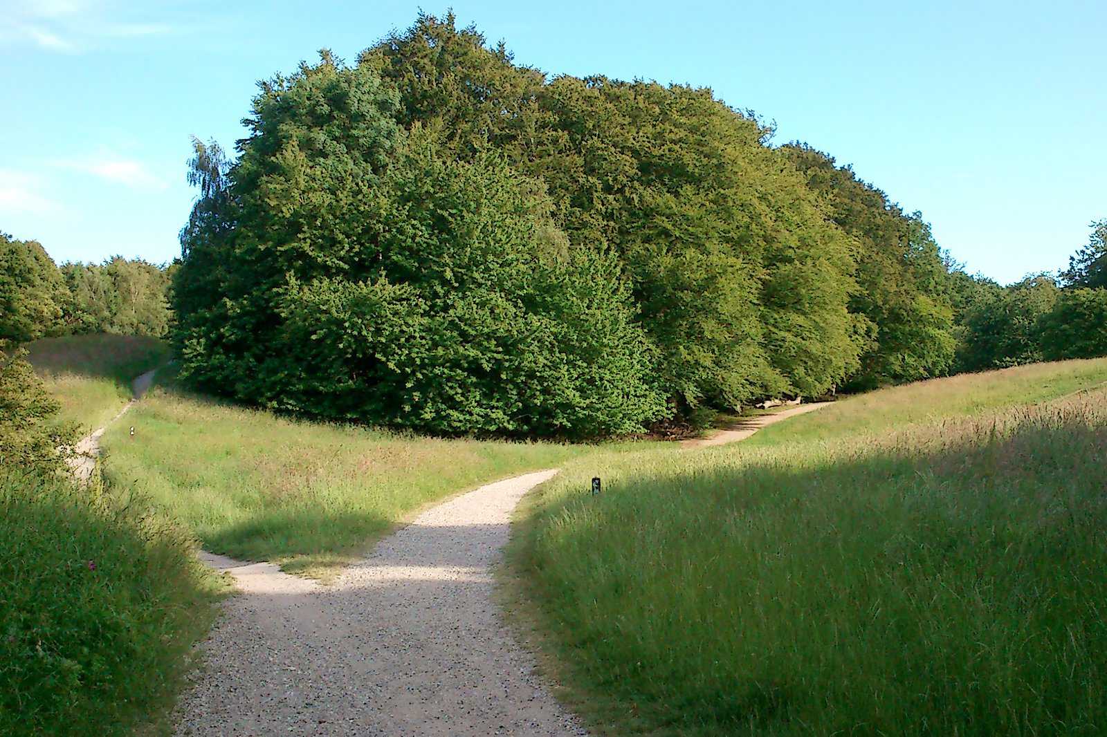 Marselisborg Forests