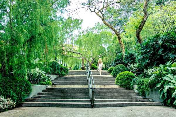 Singapore Botanic Gardens
