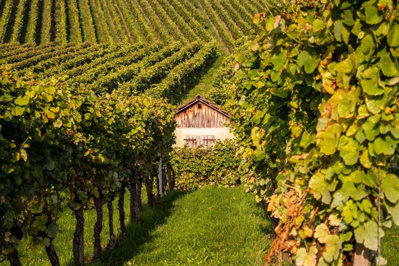10 Best Wineries in Stuttgart