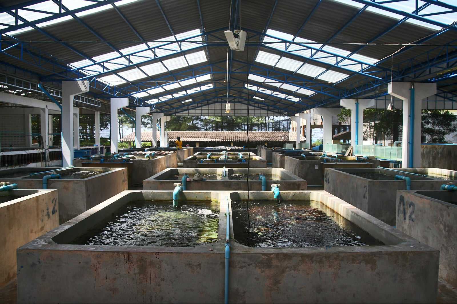 Phang Nga Coastal Fisheries Research & Development Centre
