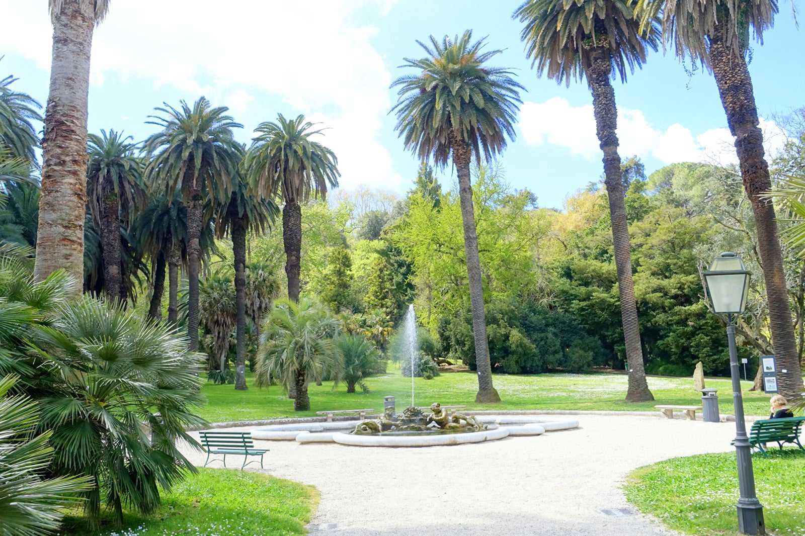 Botanical Garden of Rome