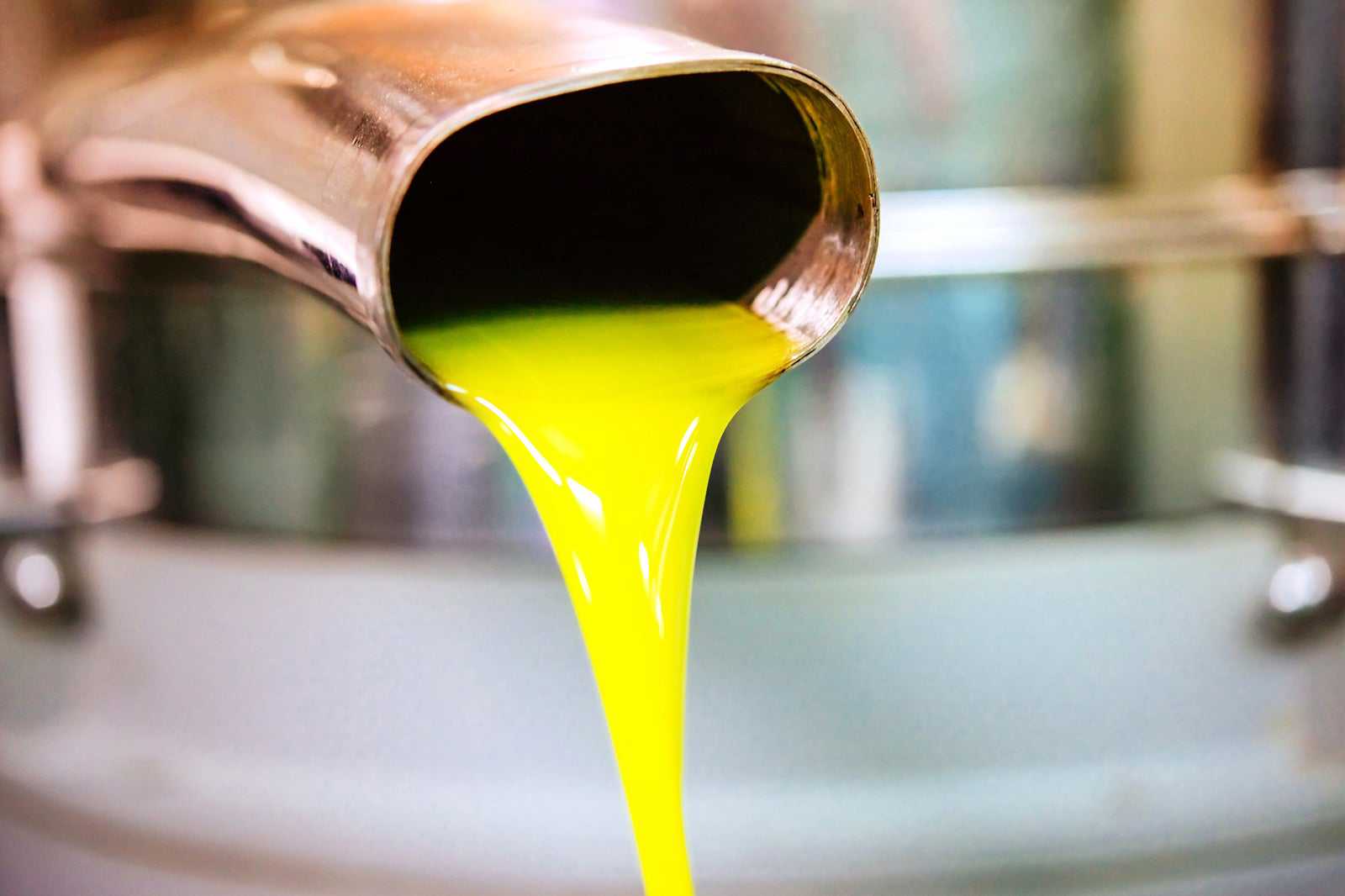 Aristeon Olive Oil Press