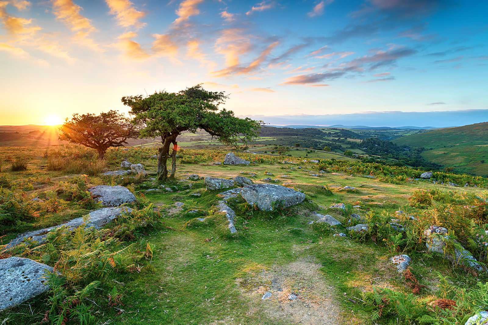 Dartmoor National Park
