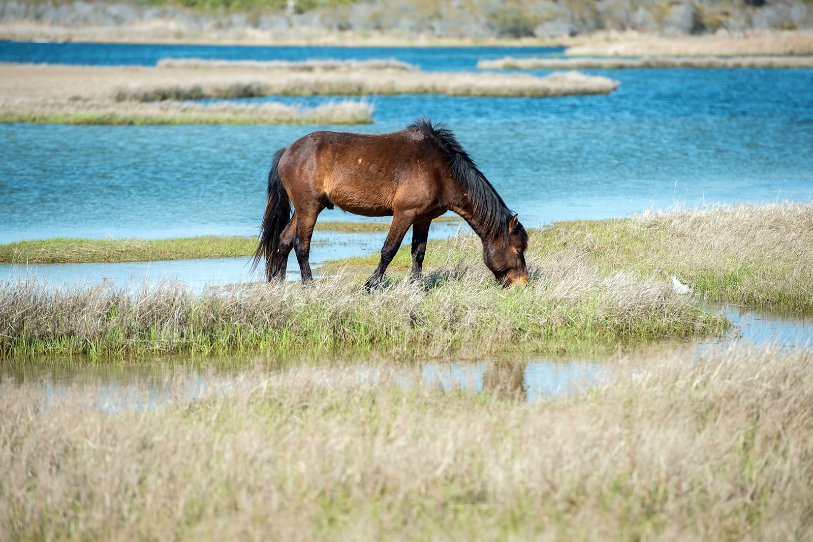 14 Best Things to Do in Maryland - Escape Baltimore on a Road Trip to ...