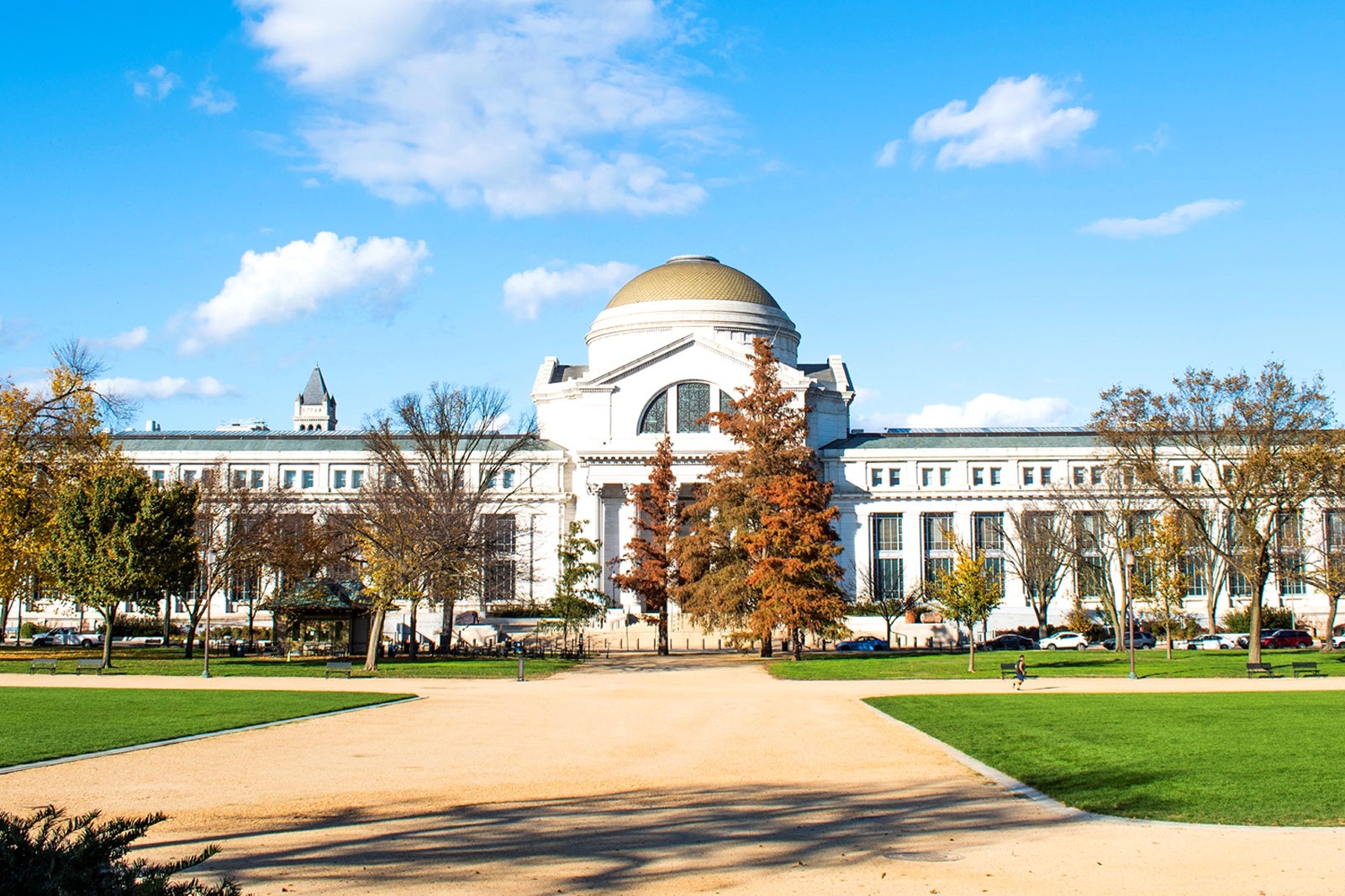 national museum of natural history washington dc wikipedia