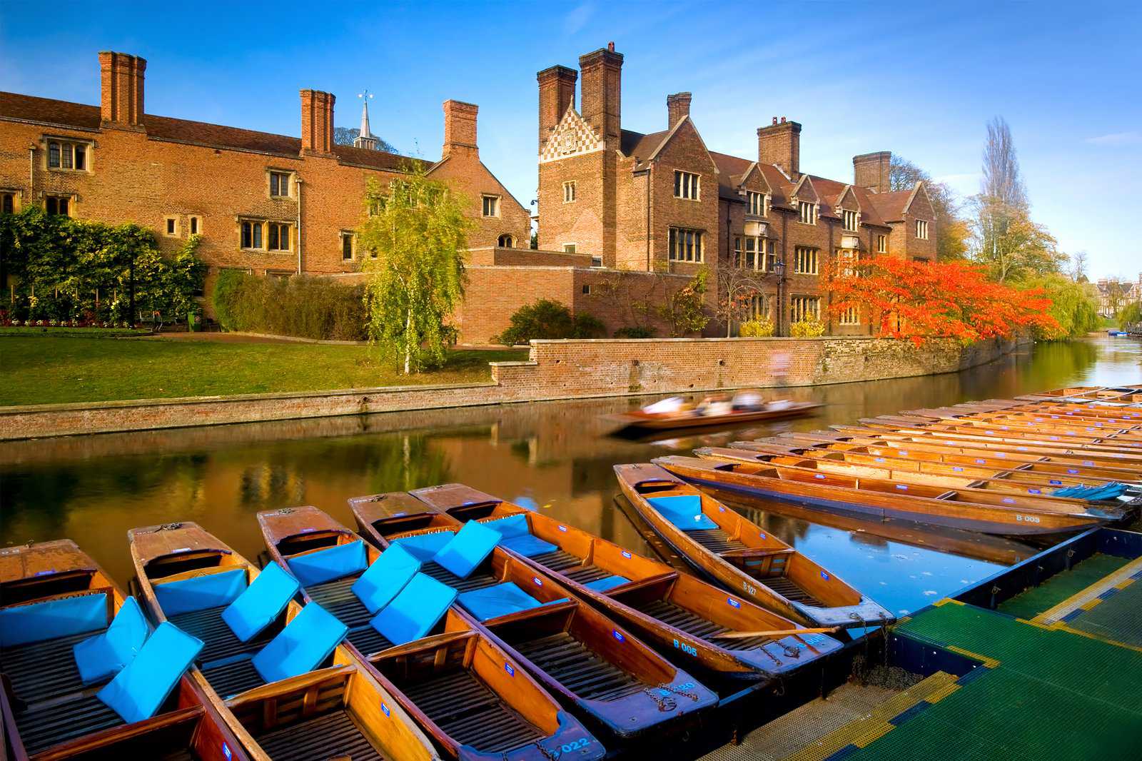 Scudamore's Punting Company