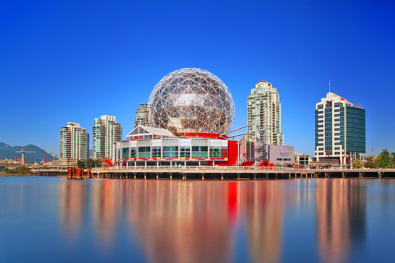 Dog Friendly Places In Vancouver