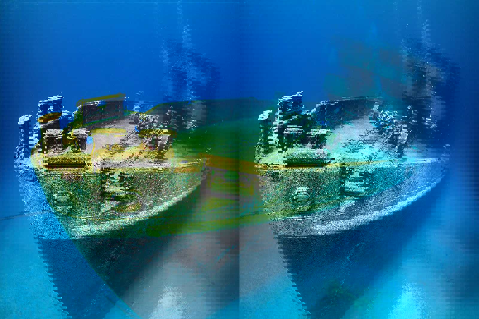 Kittiwake Shipwreck