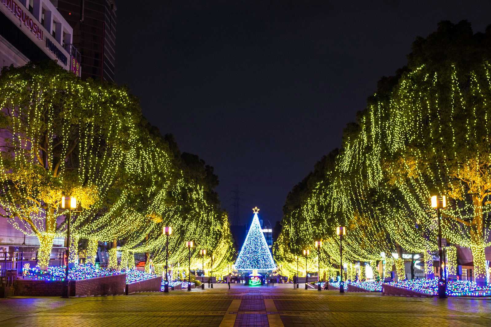 Winter illuminations