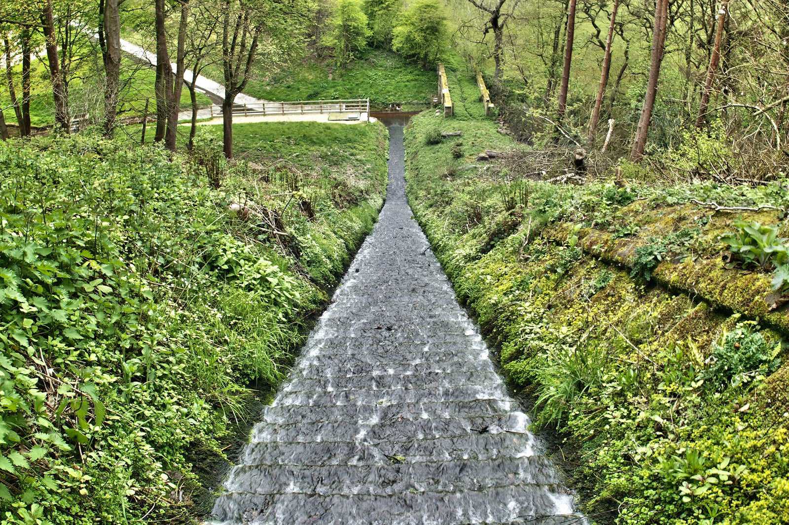 Eccup Reservoir