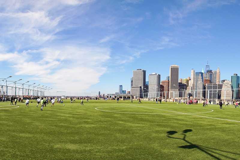 10 Best Sports Stadiums in New York