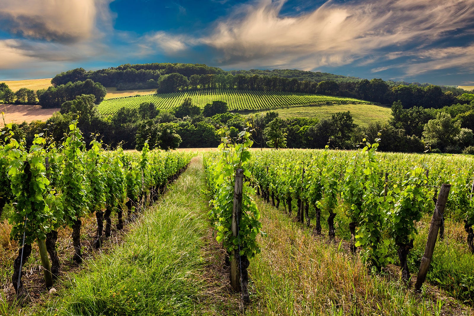 10 Best Wine Regions in France - Escape to France's Most Beautiful Wine ...