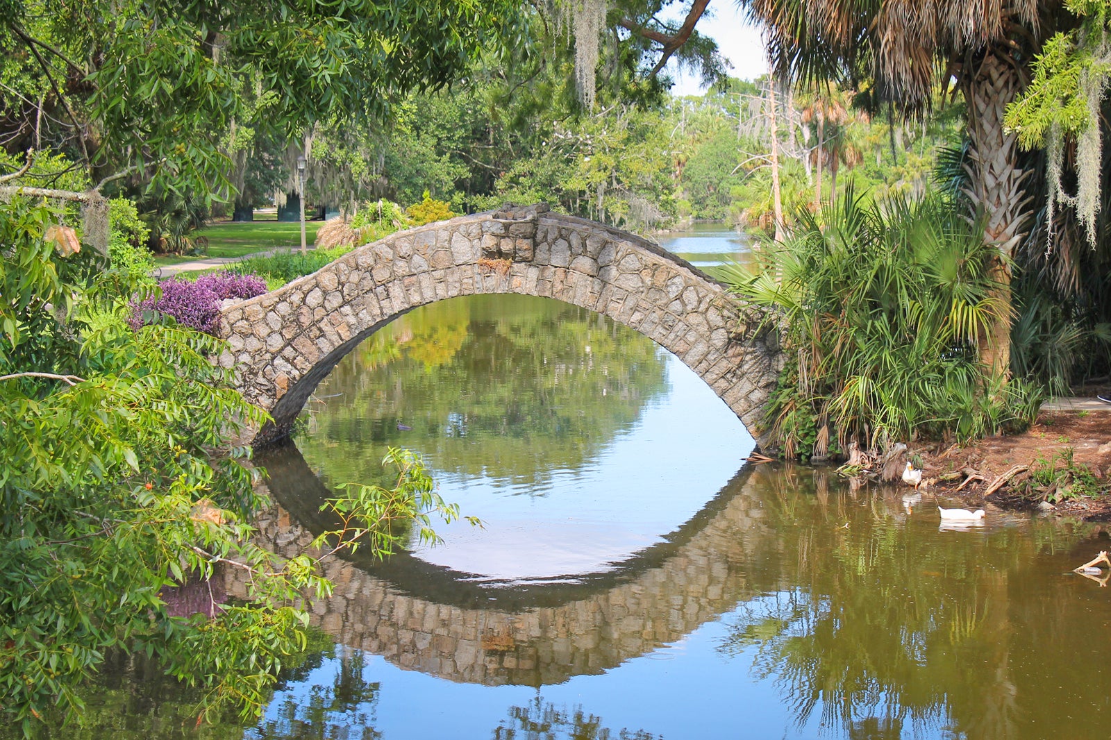 what to see in new orleans city park