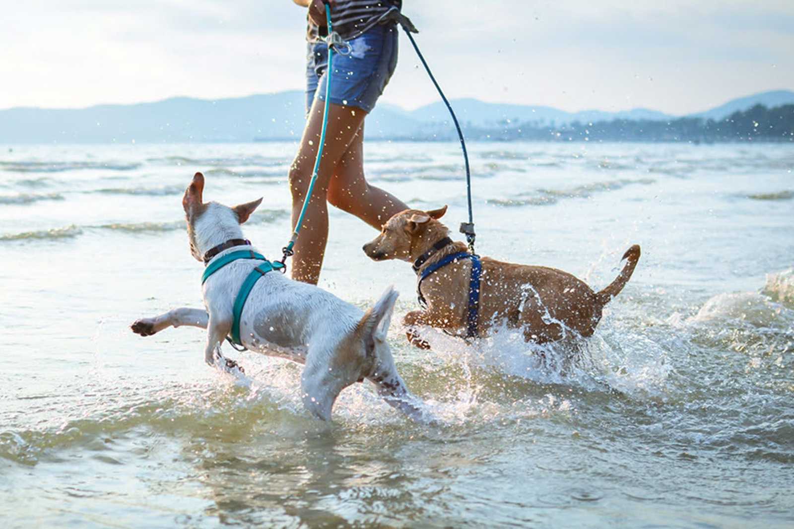 Exercise on a Bournemouth beach