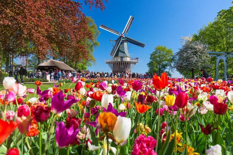 12 Best Festivals in the Netherlands