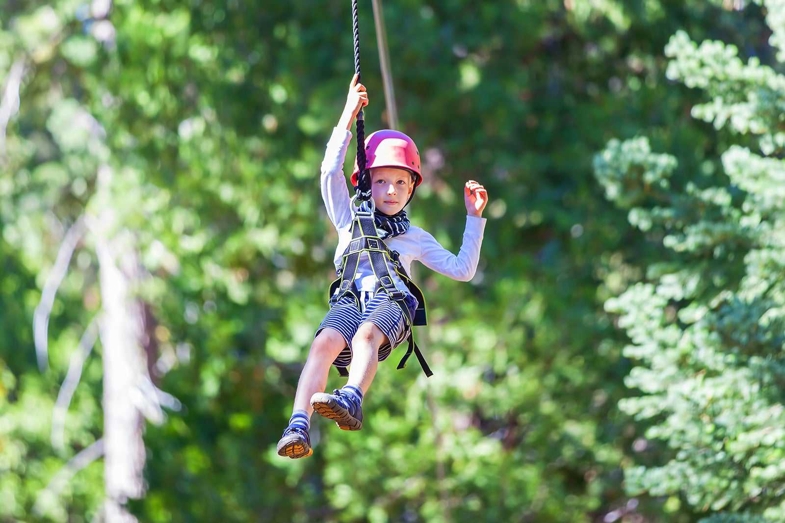 Go Ape Grizedale