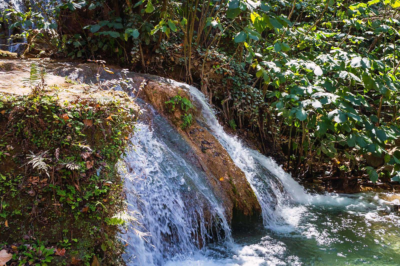 La Estanzuela Monterrey Natural Park