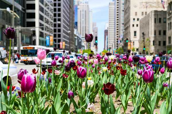 Mag Mile in Chicago
