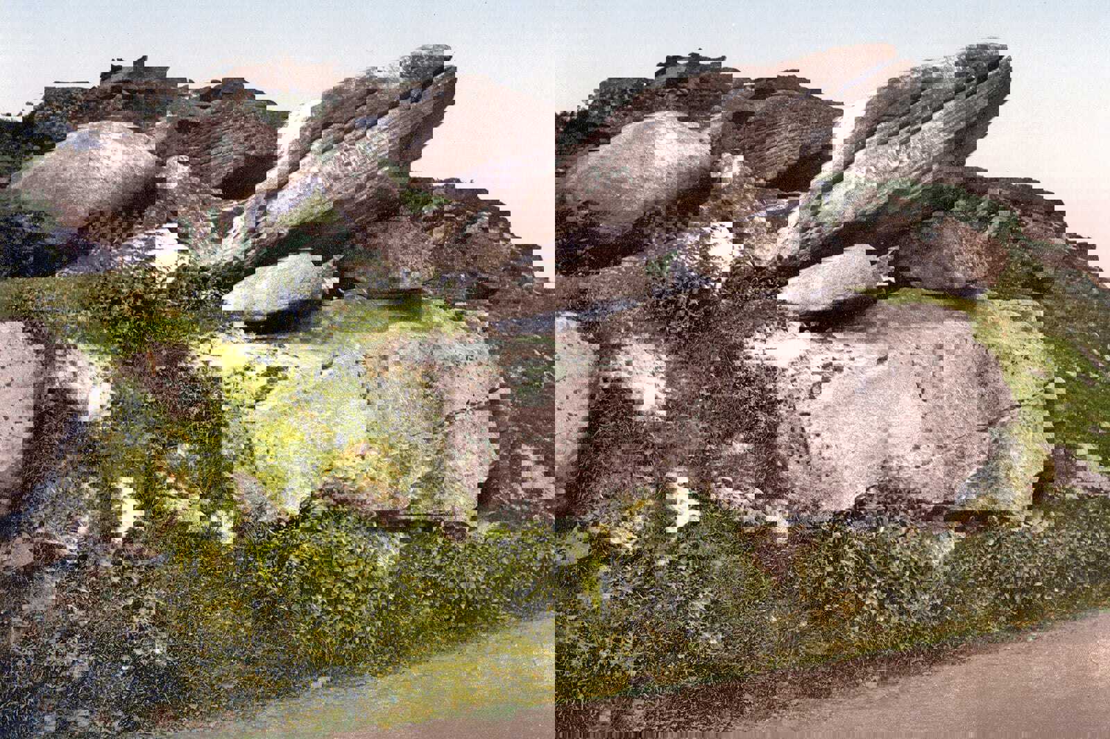 Toad’s Mouth