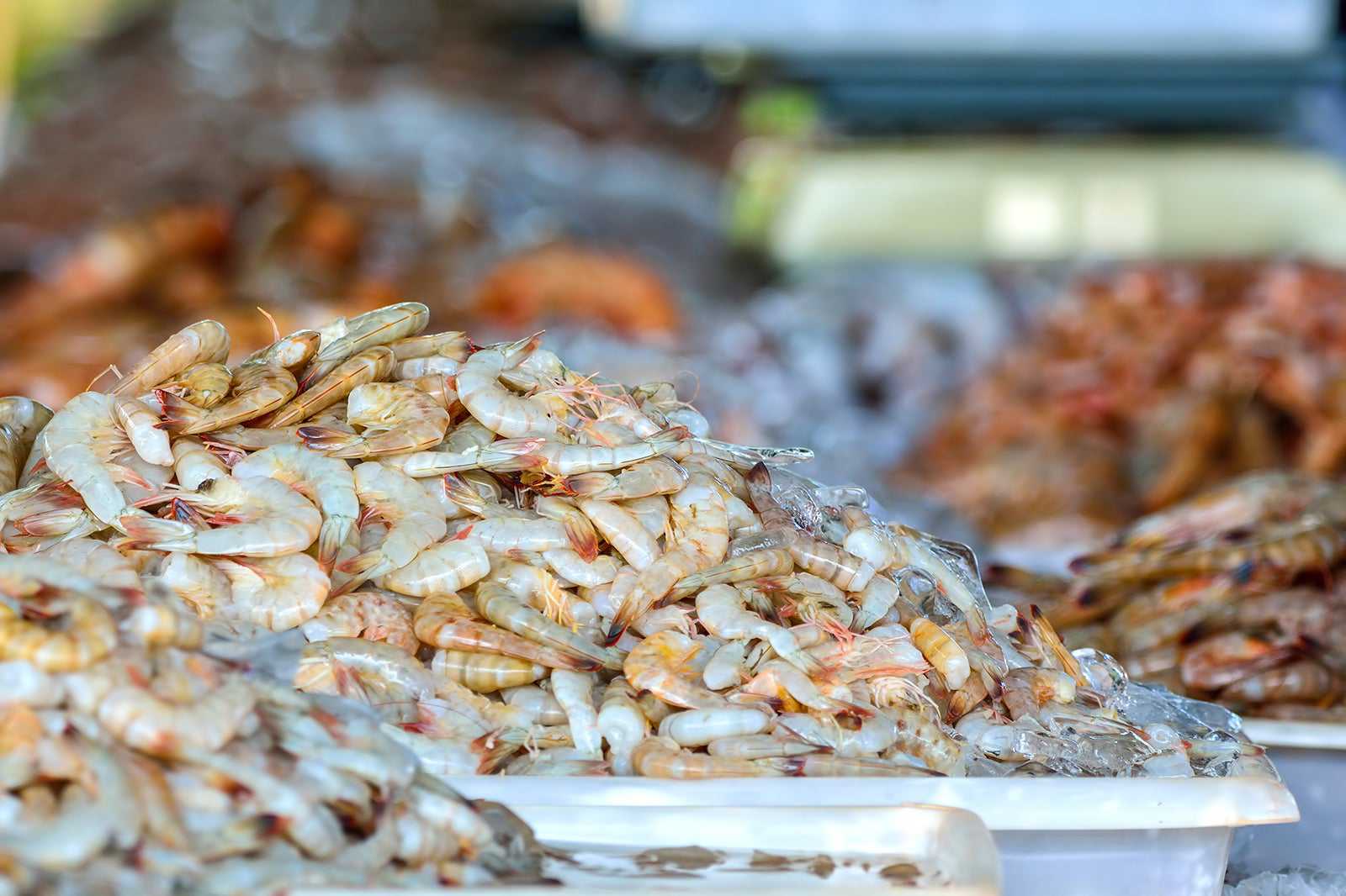 Mercado Municipal de Peixe