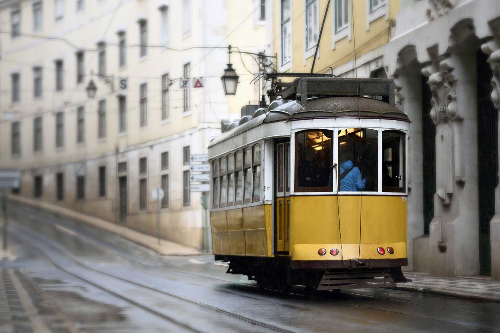 Carris – Public transportation networks