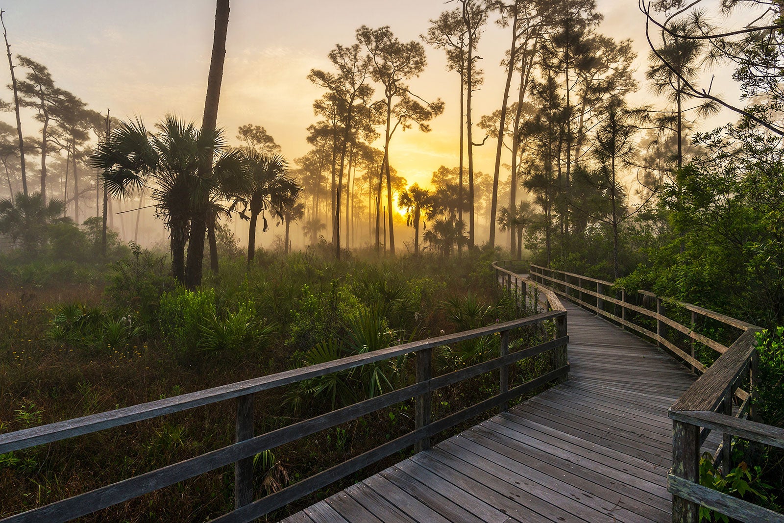 Hidden Gems and Unusual Places in Florida - Florida travel guide - Go 