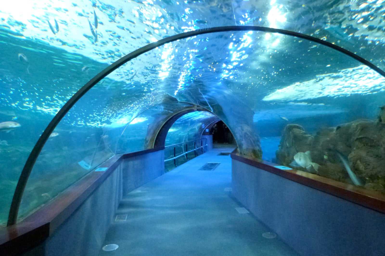 Aquarium de San Sebastián