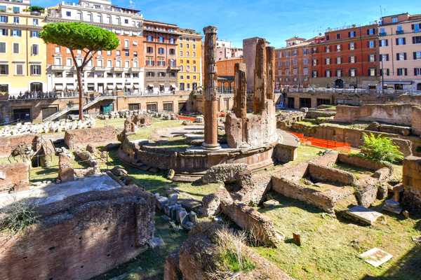 Torre Argentina Cat Sanctuary in Rome