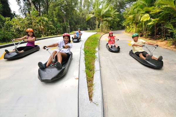 Skyline Luge Sentosa