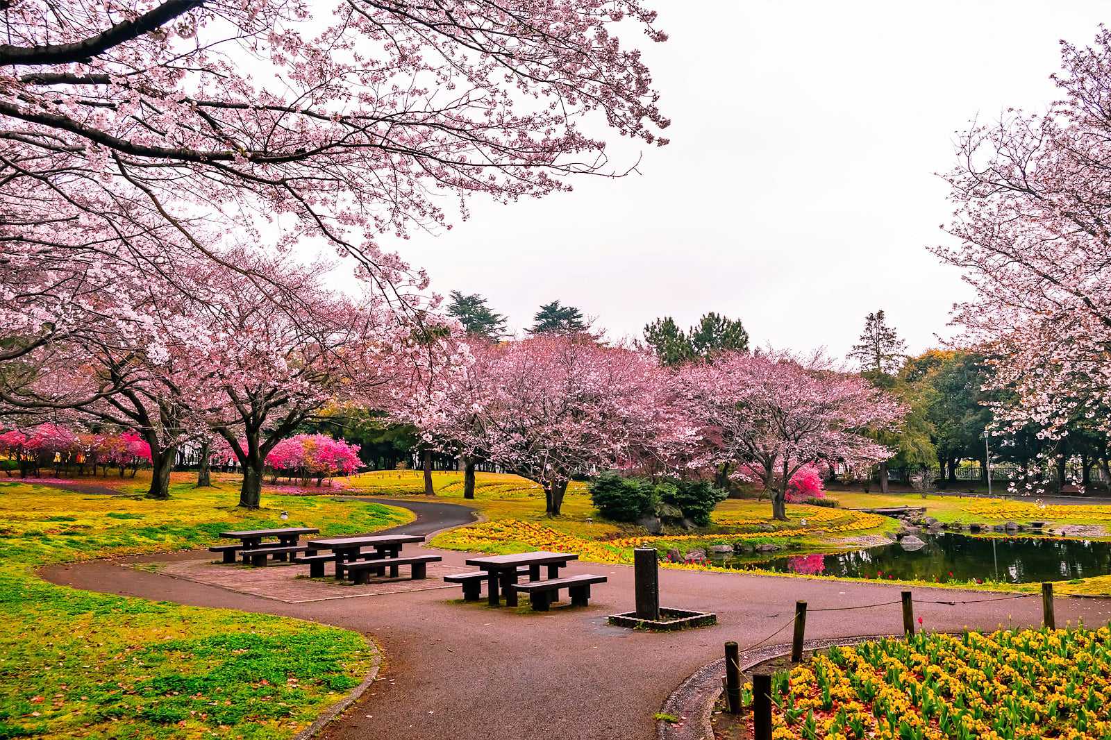 Beppu Park