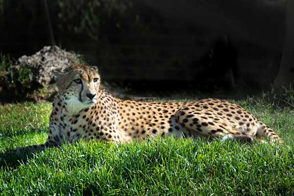 San Diego Zoo