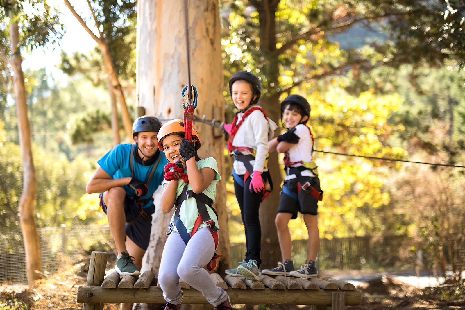 7 Best Family Things to Do in Sarasota What to Do for Fun in Sarasota