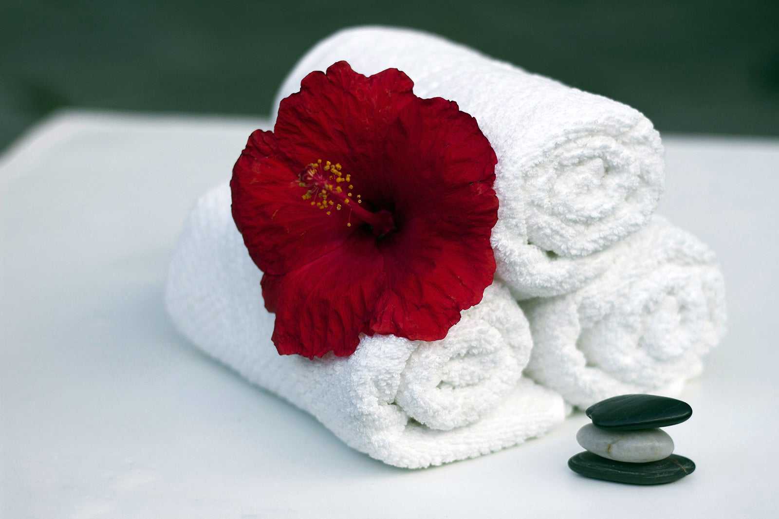 Riccione Terme