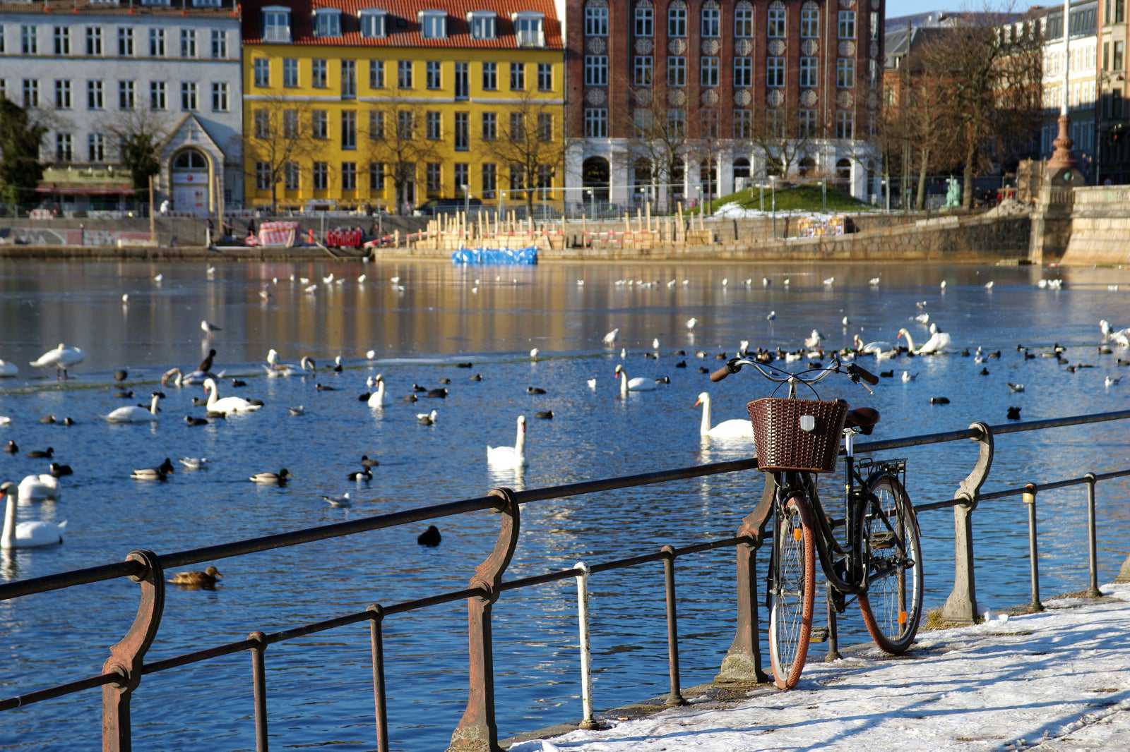 Nørrebro
