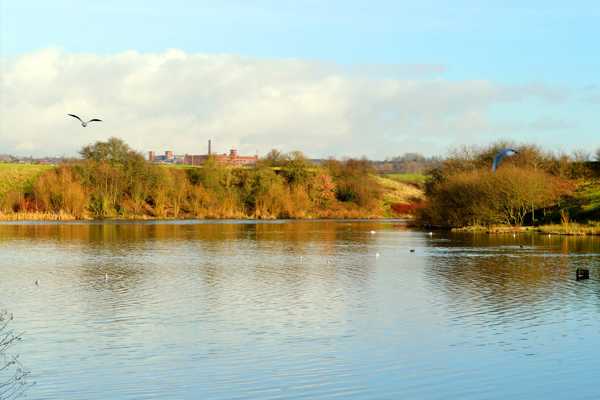 Daisy Nook Country Park in Manchester