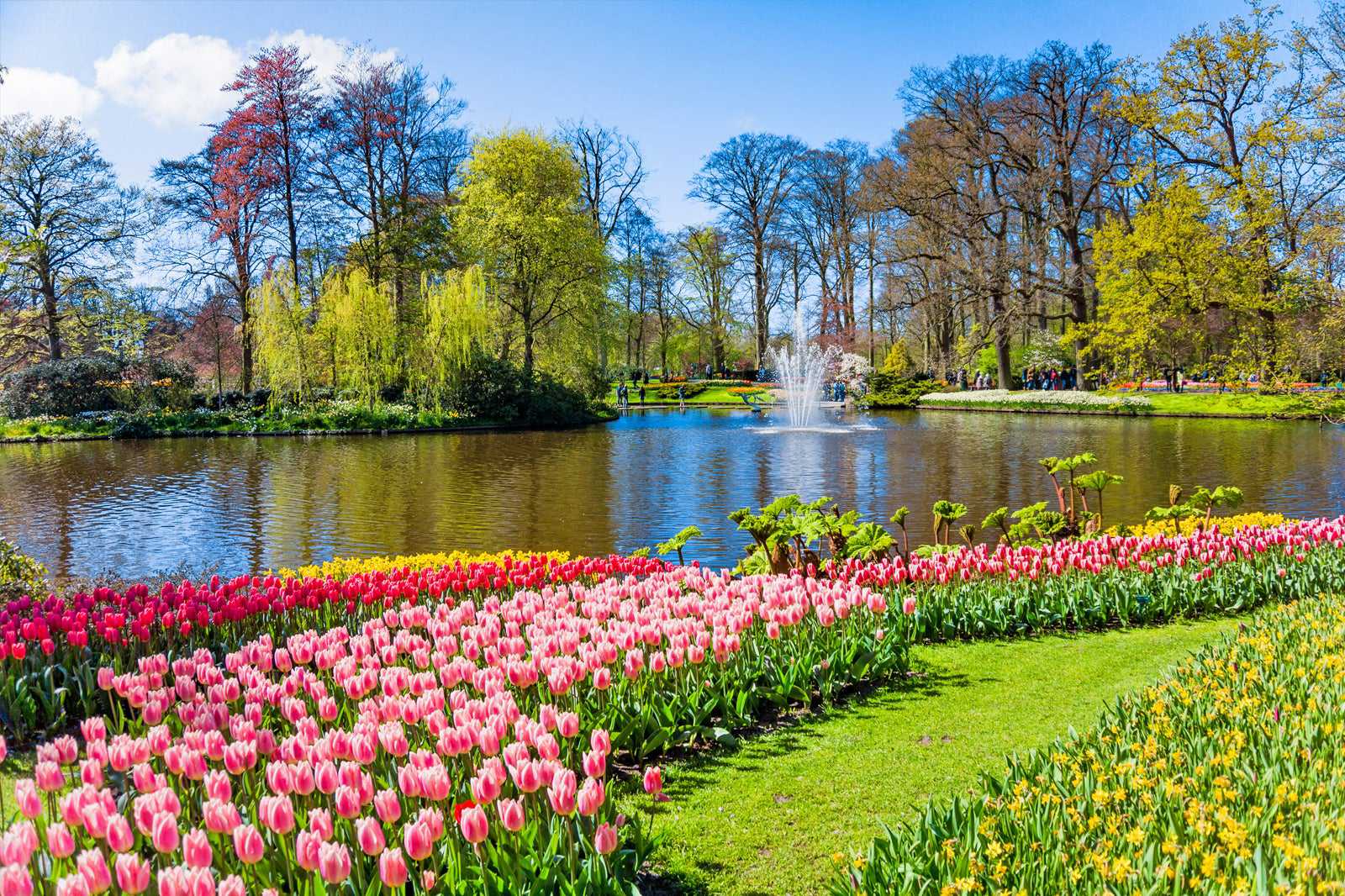Spring opening of Keukenhof Gardens