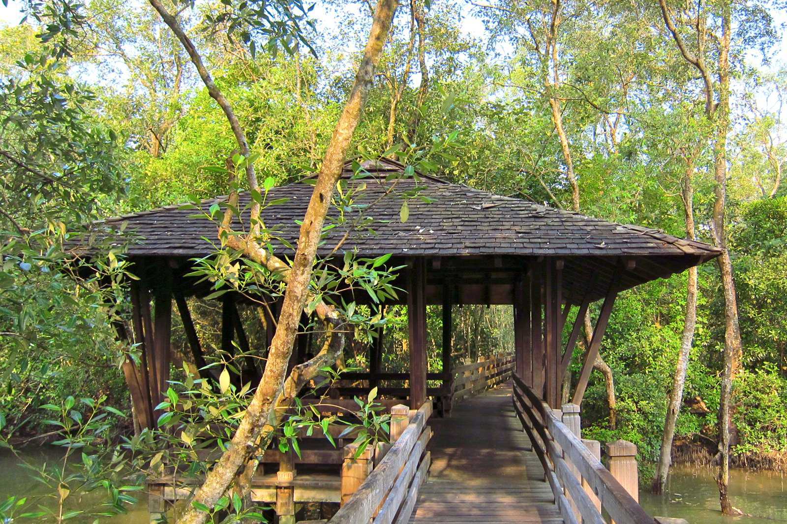 Sungei Buloh Wetland Reserve