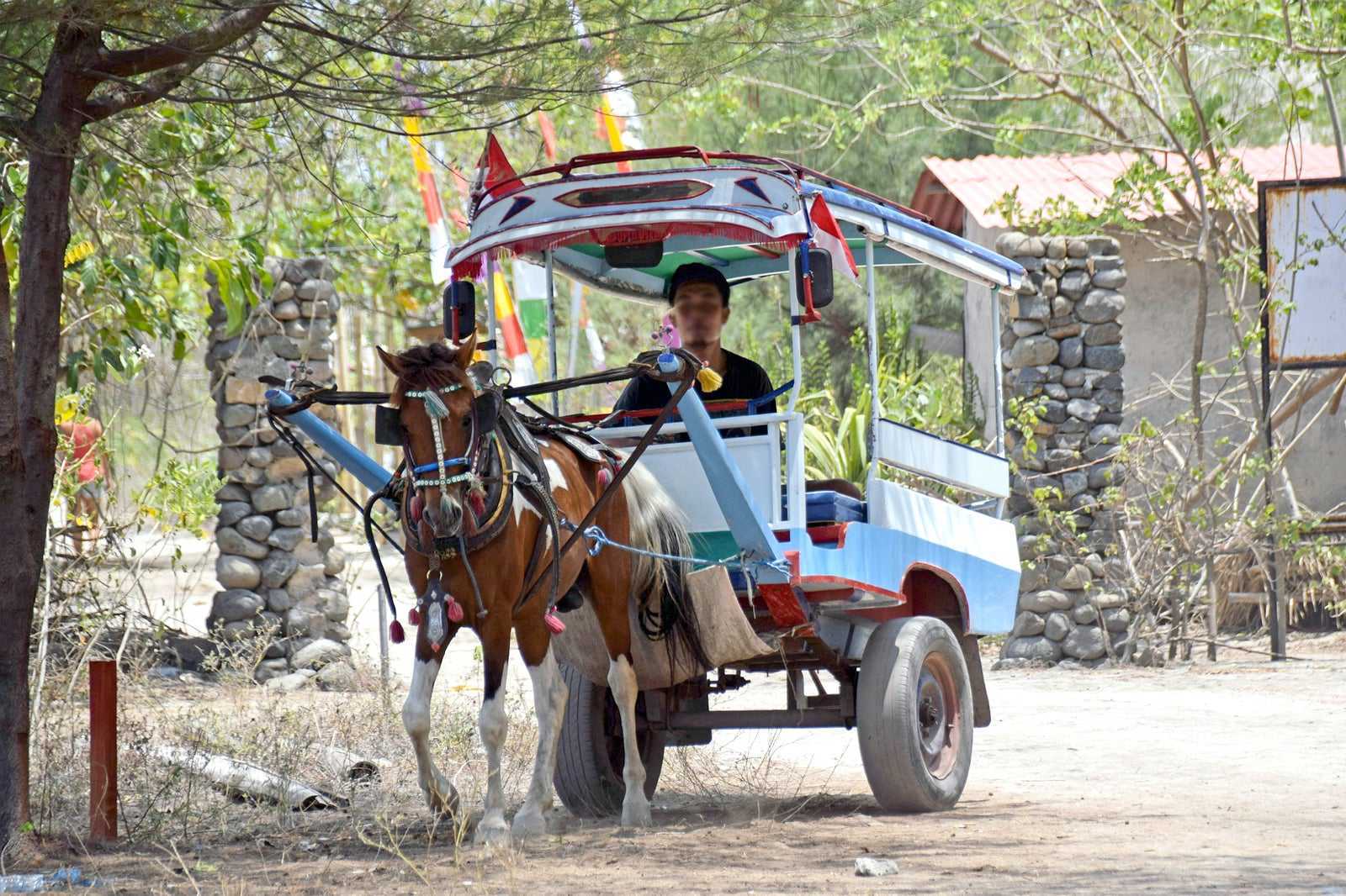 Explore the Gilis by horseback or cidomo