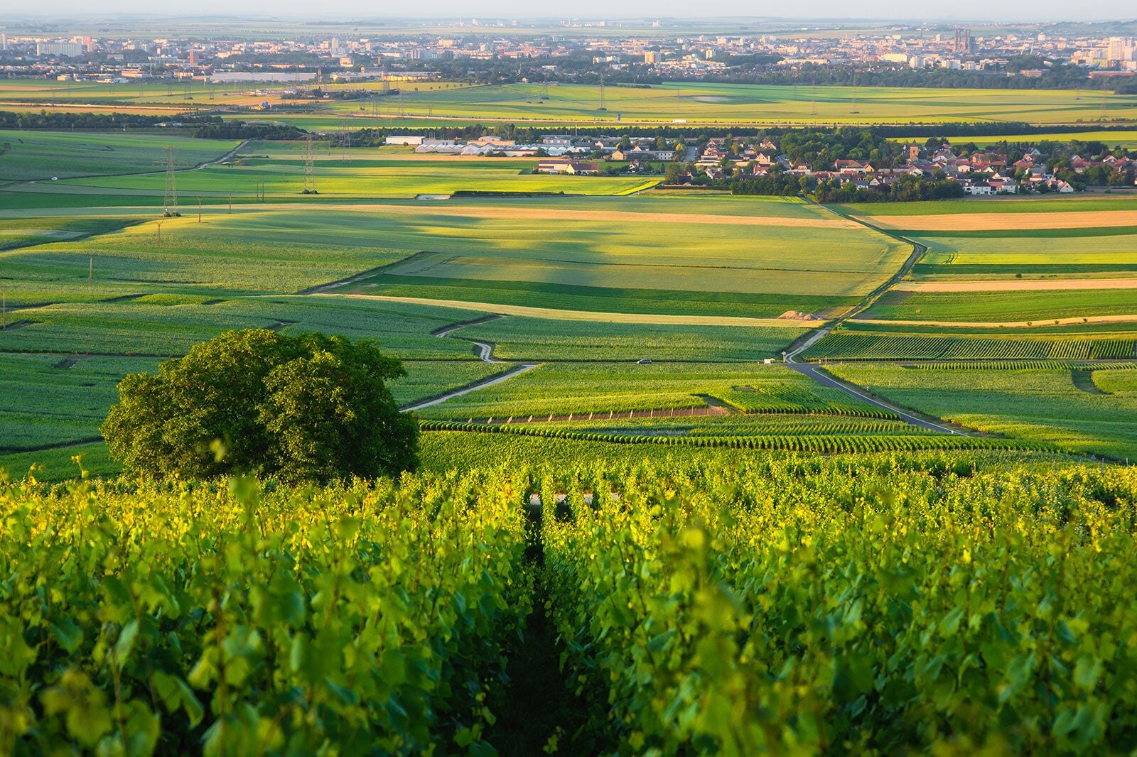 10 Best Wine Regions In France - Escape To France's Most Beautiful Wine ...