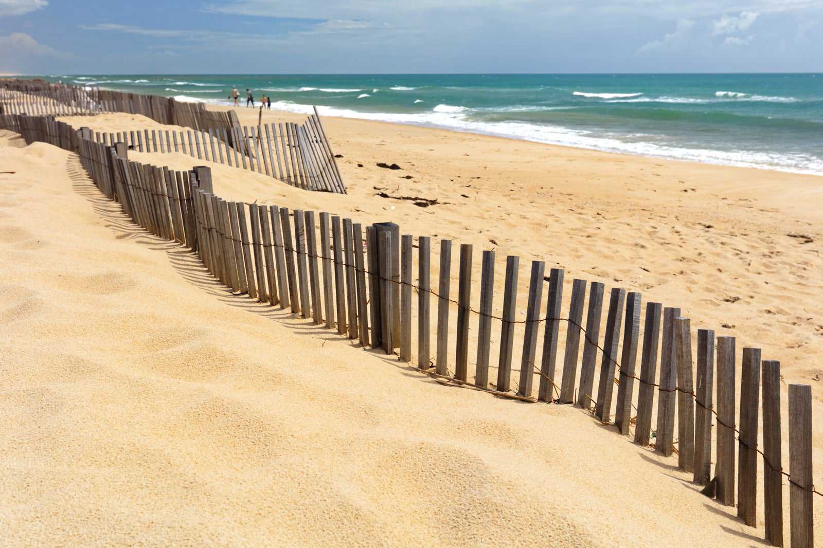 Culatra Beach