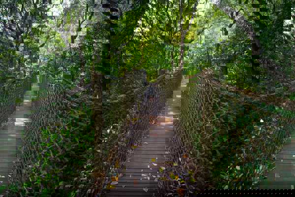 Sungei Buloh Nature Park