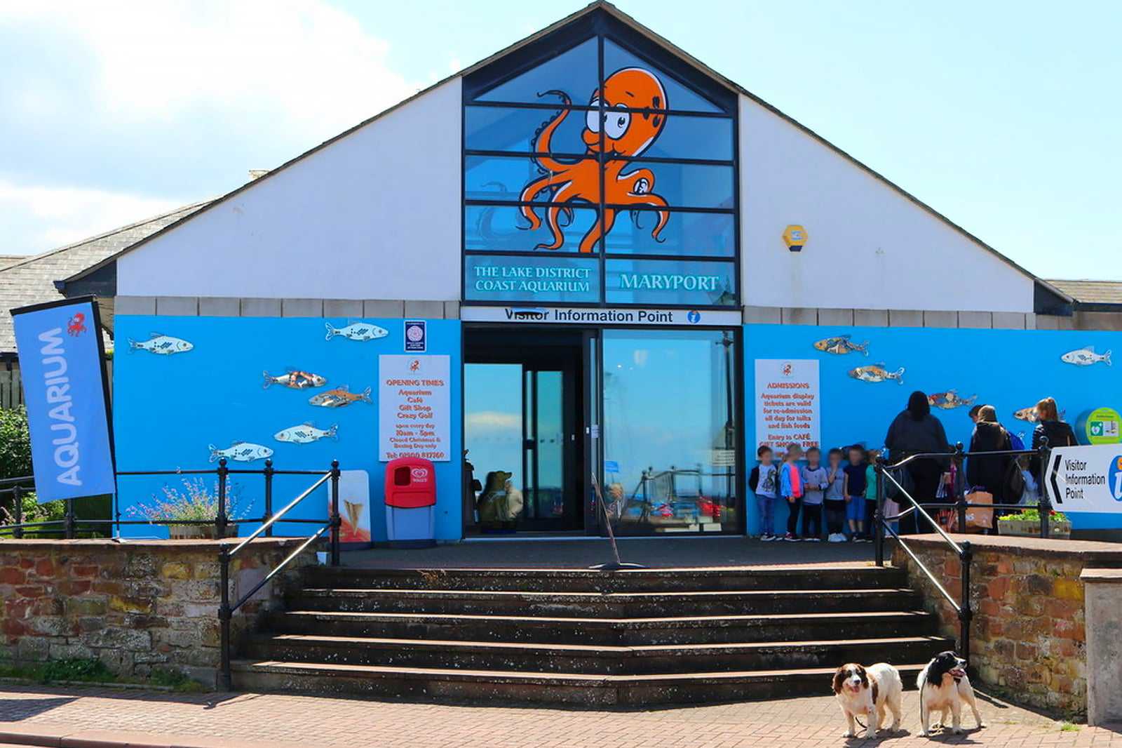 Lake District Coast Aquarium