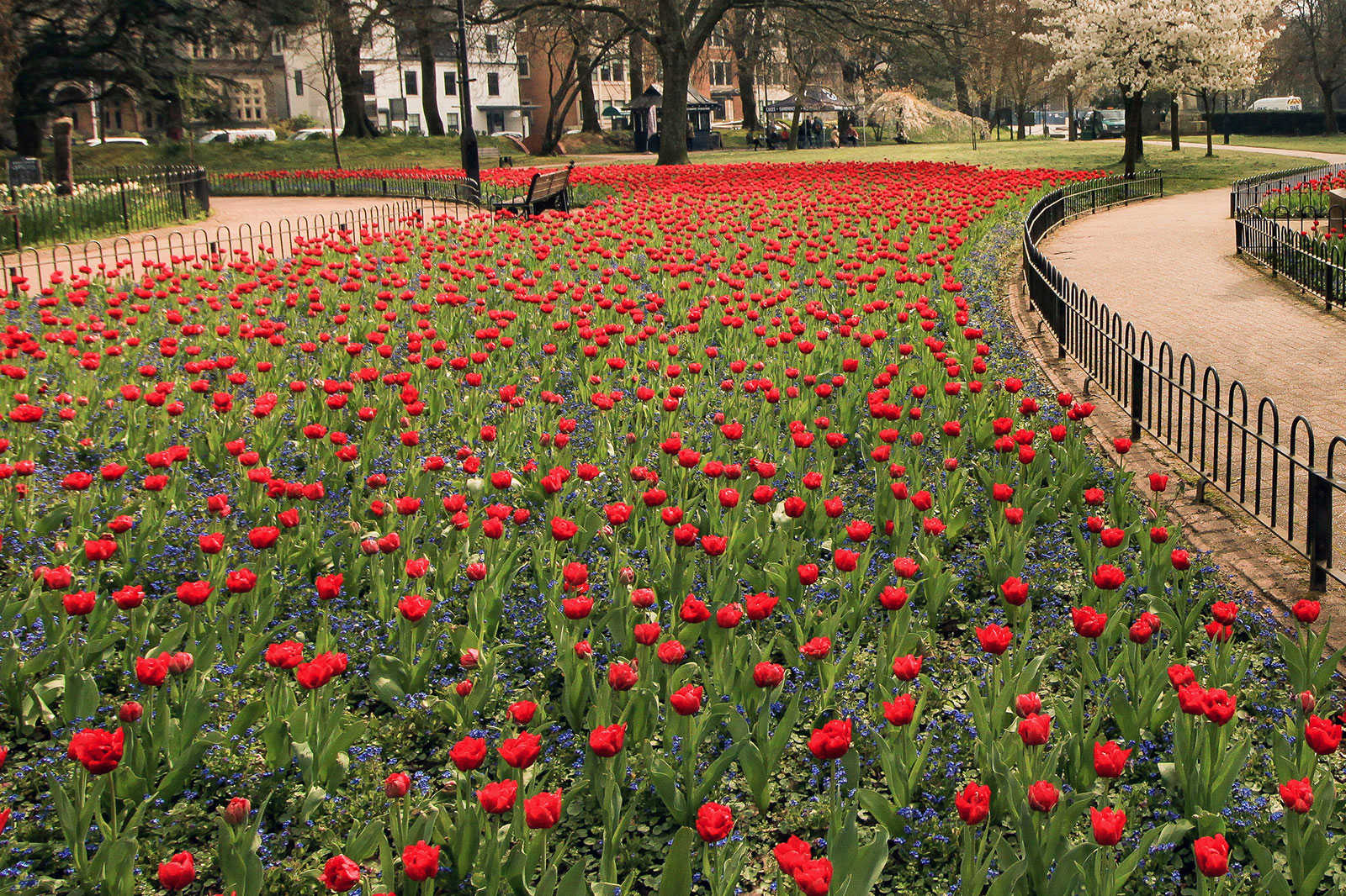 Gorsedd Gardens