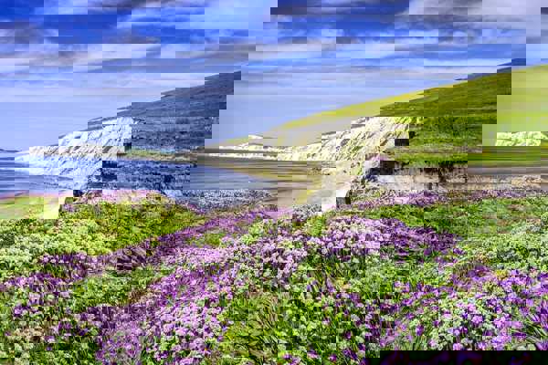 10 Best Things to Do on the Isle of Wight