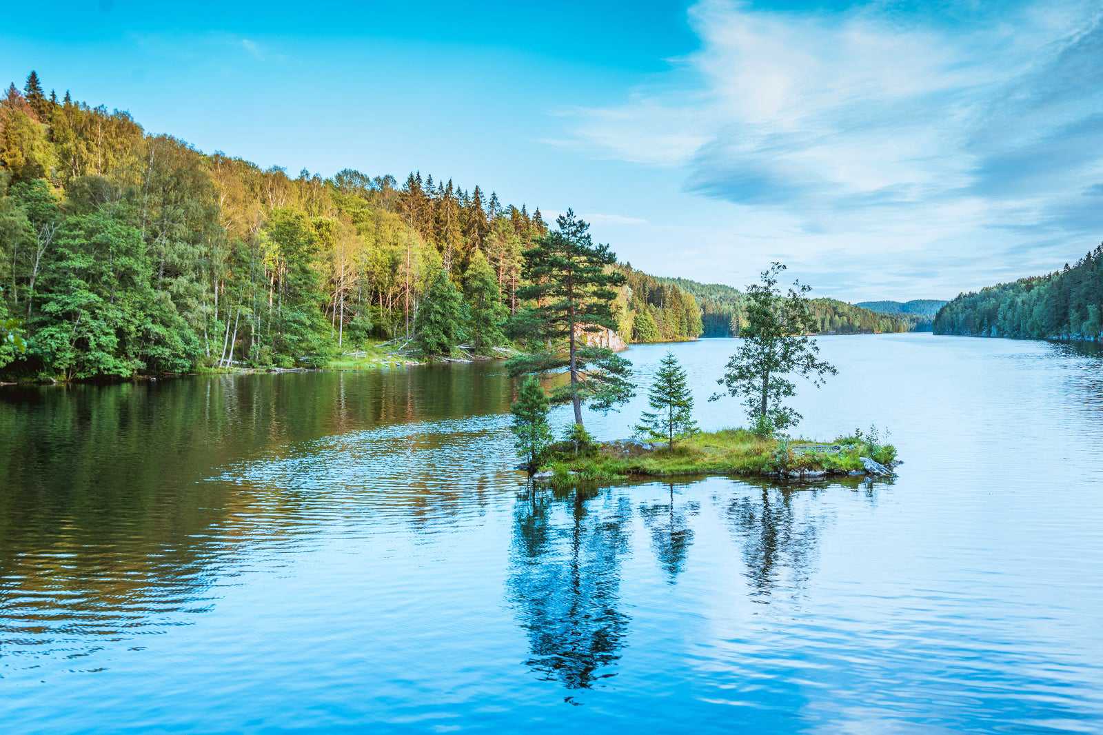 Østmarka