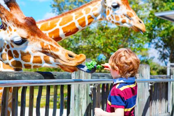 Zoo Miami